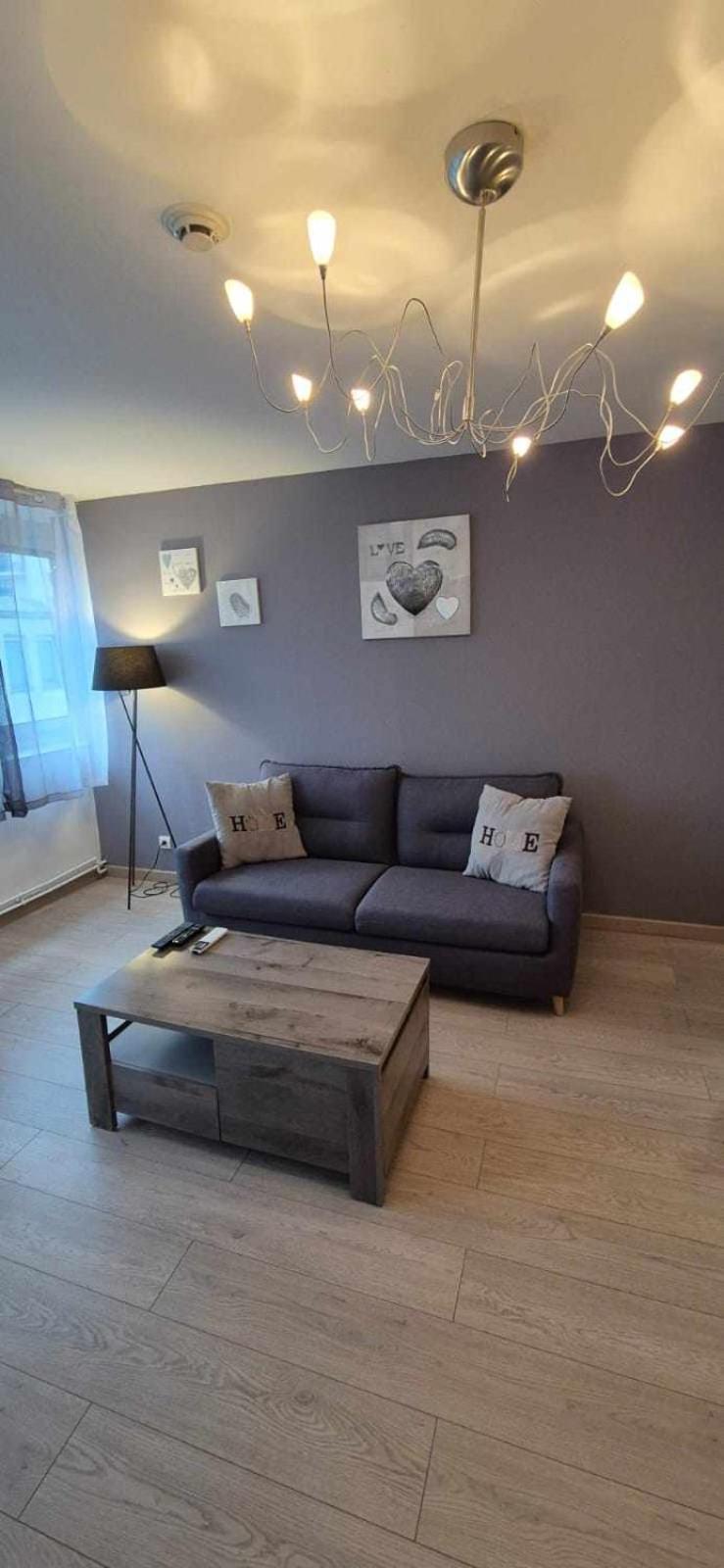 Nouveau !! Appartement Confortable Totalement Renove Avec Parking Gratuit - Hypercentre De Nancy Zewnętrze zdjęcie